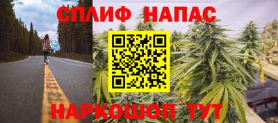 ГАЛЛЮЦИНОГЕННЫЕ ГРИБЫ Ликино-Дулёво