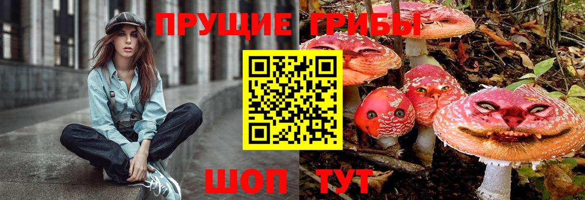 Галлюциногенные грибы Cubensis Гай